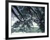 Snow and Eastern Hemlock, New Hampshire, USA-Jerry & Marcy Monkman-Framed Photographic Print