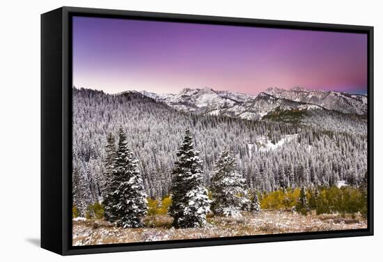 Snow and Fall Leaves in Utah-Lindsay Daniels-Framed Stretched Canvas