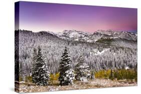 Snow and Fall Leaves in Utah-Lindsay Daniels-Stretched Canvas