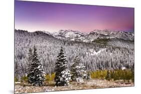 Snow and Fall Leaves in Utah-Lindsay Daniels-Mounted Photographic Print