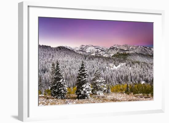 Snow and Fall Leaves in Utah-Lindsay Daniels-Framed Photographic Print