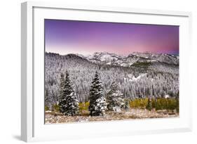 Snow and Fall Leaves in Utah-Lindsay Daniels-Framed Photographic Print