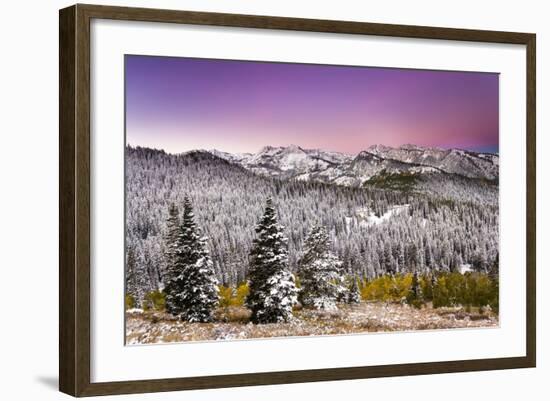 Snow and Fall Leaves in Utah-Lindsay Daniels-Framed Photographic Print