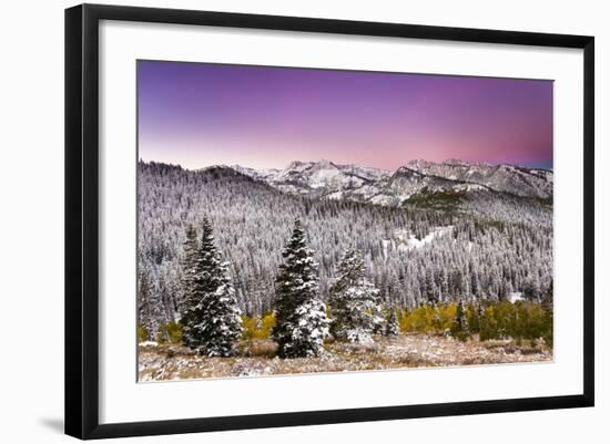 Snow and Fall Leaves in Utah-Lindsay Daniels-Framed Photographic Print