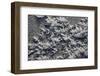 Snow and Ice-K.B. White-Framed Photographic Print