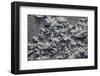Snow and Ice-K.B. White-Framed Photographic Print