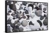 Snow and Rocks, Mt Rainier National Park, Washington, USA-Art Wolfe-Framed Stretched Canvas