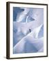 Snow and Solitude-null-Framed Premium Photographic Print