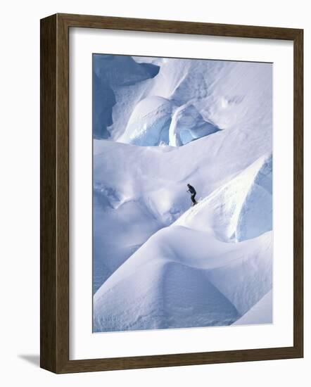 Snow and Solitude-null-Framed Photographic Print