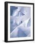 Snow and Solitude-null-Framed Photographic Print