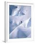 Snow and Solitude-null-Framed Photographic Print