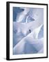 Snow and Solitude-null-Framed Photographic Print