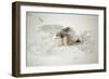 Snow Angel, 2014-Elinleticia H?gabo-Framed Giclee Print