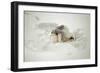 Snow Angel, 2014-Elinleticia H?gabo-Framed Giclee Print