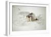 Snow Angel, 2014-Elinleticia H?gabo-Framed Giclee Print