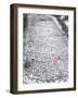 Snow Angels Record, Bismarck, North Dakota-Will Kincaid-Framed Photographic Print