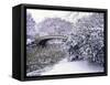 Snow at Bow Bridge in Central Park-Alan Schein-Framed Stretched Canvas