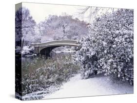 Snow at Bow Bridge in Central Park-Alan Schein-Stretched Canvas