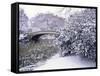 Snow at Bow Bridge in Central Park-Alan Schein-Framed Stretched Canvas