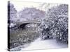 Snow at Bow Bridge in Central Park-Alan Schein-Stretched Canvas