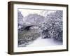 Snow at Bow Bridge in Central Park-Alan Schein-Framed Premium Photographic Print