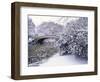 Snow at Bow Bridge in Central Park-Alan Schein-Framed Photographic Print