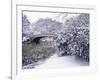 Snow at Bow Bridge in Central Park-Alan Schein-Framed Photographic Print