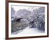 Snow at Bow Bridge in Central Park-Alan Schein-Framed Photographic Print