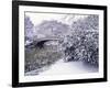 Snow at Bow Bridge in Central Park-Alan Schein-Framed Photographic Print