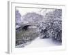 Snow at Bow Bridge in Central Park-Alan Schein-Framed Photographic Print