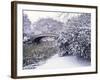 Snow at Bow Bridge in Central Park-Alan Schein-Framed Photographic Print