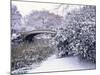 Snow at Bow Bridge in Central Park-Alan Schein-Mounted Photographic Print
