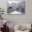 Snow at Bow Bridge in Central Park-Alan Schein-Photographic Print displayed on a wall