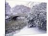 Snow at Bow Bridge in Central Park-Alan Schein-Stretched Canvas