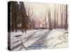 Snow at Broadlands-Paul Stewart-Stretched Canvas