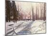 Snow at Broadlands-Paul Stewart-Mounted Giclee Print