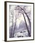 Snow at Zion National Park-Jim Zuckerman-Framed Photographic Print