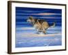 Snow Beat-Joh Naito-Framed Giclee Print