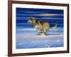 Snow Beat-Joh Naito-Framed Giclee Print