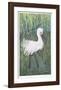 Snow Bird-Allen Friedman-Framed Collectable Print