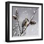 Snow Bird-Marcus Prime-Framed Art Print