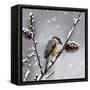 Snow Bird-Marcus Prime-Framed Stretched Canvas