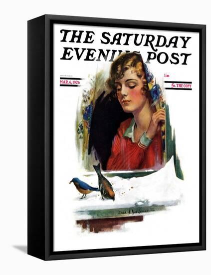 "Snow Birds," Saturday Evening Post Cover, March 6, 1926-Charles A. MacLellan-Framed Stretched Canvas