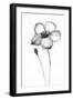 Snow Blossom 3-Filippo Ioco-Framed Art Print