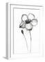 Snow Blossom 3-Filippo Ioco-Framed Art Print