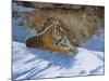 Snow Break-Graeme Stevenson-Mounted Giclee Print