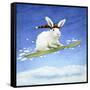 Snow Bunny-Will Bullas-Framed Stretched Canvas