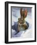 Snow Bunny-Carolyne Hawley-Framed Art Print