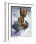 Snow Bunny-Carolyne Hawley-Framed Art Print