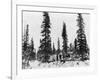 Snow Camping North of the Arctic Circle Photograph - Alaska-Lantern Press-Framed Art Print